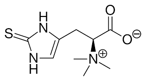 See what’s in store for Healthy Aging Month